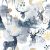 Cerf blanc